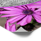 African Daisy Flowers Lijst Creëer Uw eigen foto Poster (Hoek)