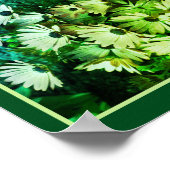 African Daisy Flowers Mirror Abstract Poster (Hoek)