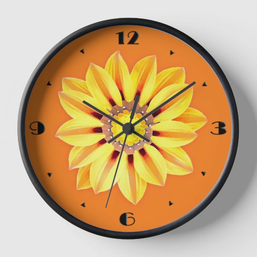 African Daisy / Gazania - Oranje en geel (Voorkant)