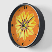 African Daisy / Gazania - Oranje en geel (Hoek)