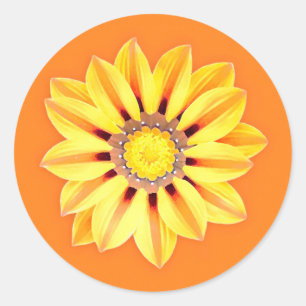 African Daisy / Gazania - Oranje en geel Ronde Sticker