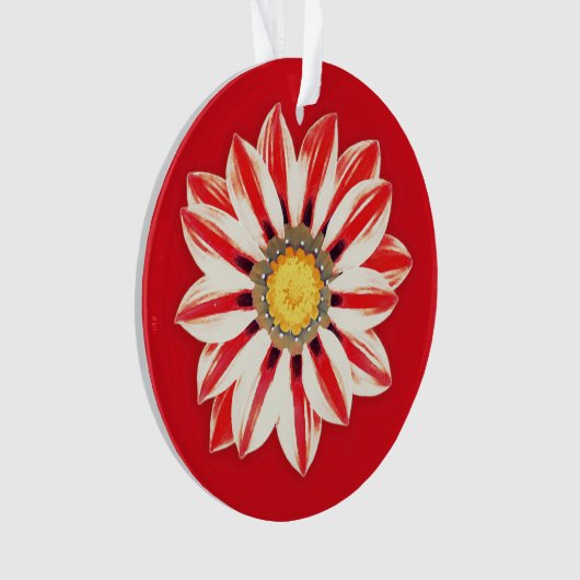African Daisy/Gazania - Rode en witte streep Ornament (voorkant)
