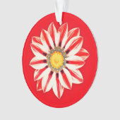 African Daisy/Gazania - Rode en witte streep Ornament (voorkant)