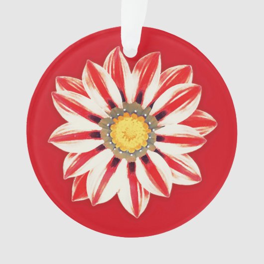 African Daisy/Gazania - Rode en witte streep Ornament (voorkant)