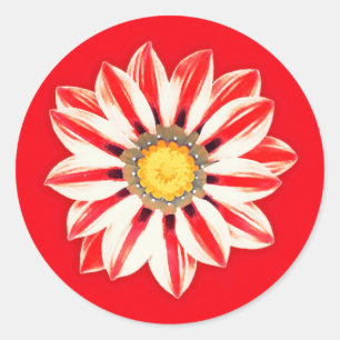 African Daisy/Gazania - Rode en witte streep Ronde Sticker