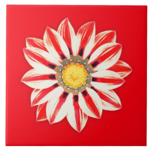 African Daisy/Gazania - Rode en witte streep Tegeltje
