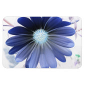 African Daisy Ggloing Blue Premium Magnet Magneet (Horizontaal)