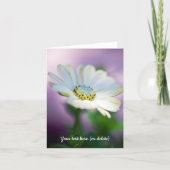 African Daisy Greeting Card Kaart (Voorkant)