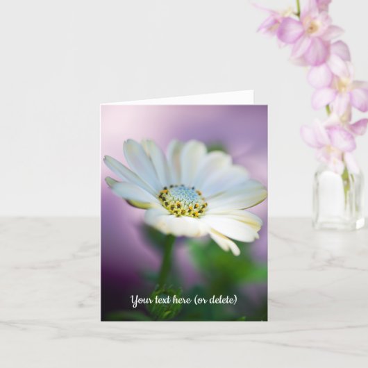 African Daisy Greeting Card Kaart (Orchidee)