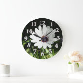 African Daisy Grote Klok (Huis)