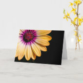 African Daisy Kaart (Gele Bloem)