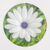 African Daisy Labels (Design 2)