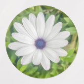 African Daisy Labels (Design 1)