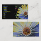 African Daisy Lapis and Gold Custom Visitekaartje (Voorkant / Achterkant)