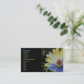 African Daisy Lapis and Gold Custom Visitekaartje (Staand voorkant)