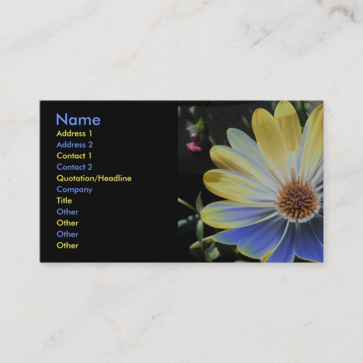 African Daisy Lapis and Gold Custom Visitekaartje (Voorkant)