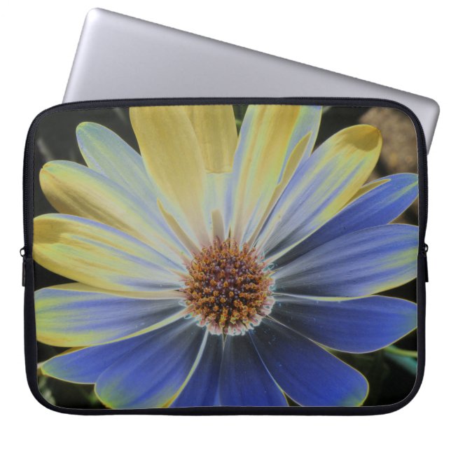 African Daisy Lapis and Gold Laptop Bag Laptop Sleeve (Voorkant)
