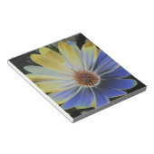 African Daisy Lapis and Gold Notepad Notitieblok (Schuin)