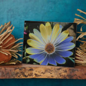 African Daisy Lapis and Gold Plaque Fotoplaat (Zijkant)