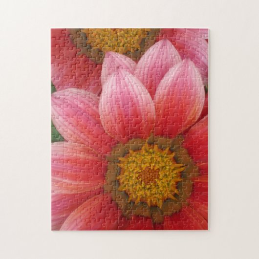 African Daisy Legpuzzel (Verticaal)