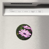 African Daisy Magneet (Insitu (Vaatwasser))