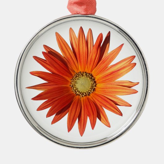 African Daisy Metalen Ornament (Voorkant)