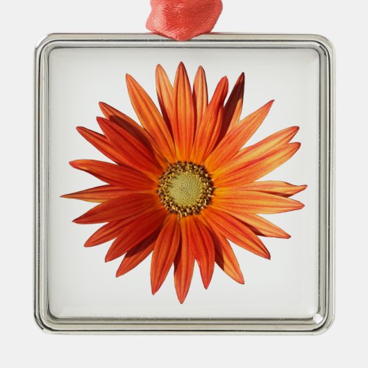 African Daisy Metalen Ornament (Voorkant)