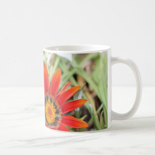 African Daisy mok (Rechts)