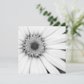 African Daisy Monochrome Floral Kaart (Staand voorkant)