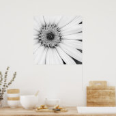 African Daisy Monochrome Floral Poster (Keuken)