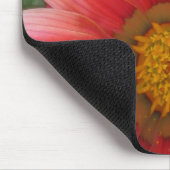 African Daisy Muismat (Hoek)