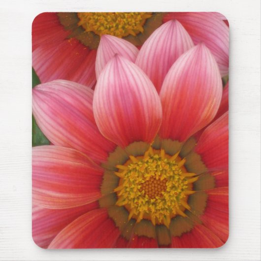 African Daisy Muismat (Voorkant)