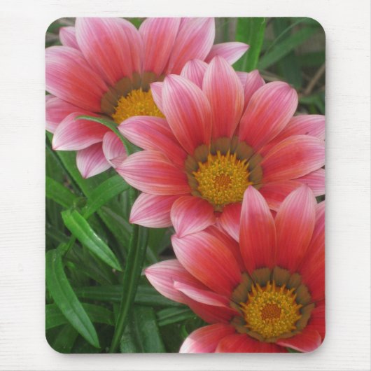 African Daisy Muismat (Voorkant)