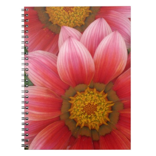African Daisy Notitieboek (Voorkant)