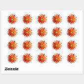 African Daisy Ronde Sticker (Vel)