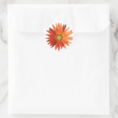 African Daisy Ronde Sticker (Tas)