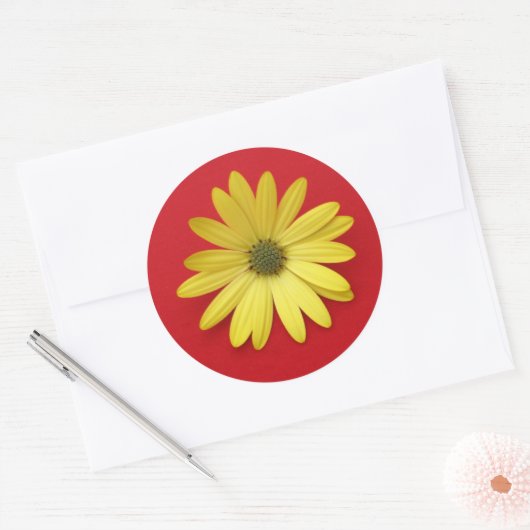 African Daisy Sticker (Envelop)