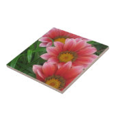 African Daisy Tegeltje (Zijkant)