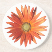 African Daisy Zandsteen Onderzetter (Voorkant)