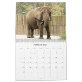 African_Elephant_005, Afrikaanse Olifant Kalender (Feb 2027)