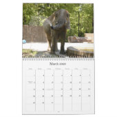 African_Elephant_005, Afrikaanse Olifant Kalender (Mar 2026)