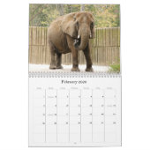 African_Elephant_005, Afrikaanse Olifant Kalender (Feb 2026)