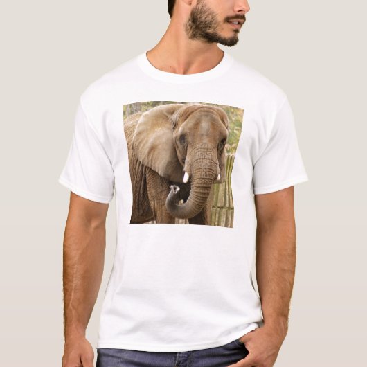African_Elephant_008 T-shirt (Voorkant)