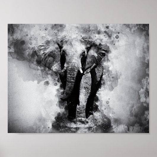 African Elephant Black and White Waterverf Poster (Voorkant)