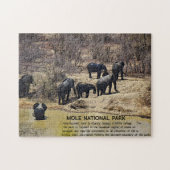 African Elephant Jigsaw puzzle Legpuzzel (Horizontaal)