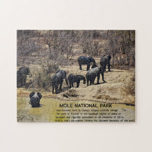 African Elephant Jigsaw puzzle Legpuzzel