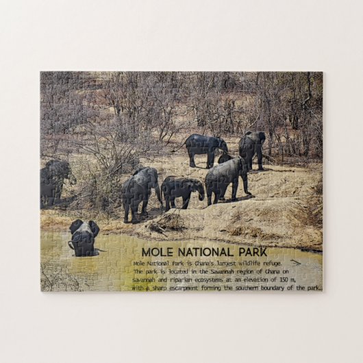 African Elephant Jigsaw puzzle Legpuzzel (Horizontaal)