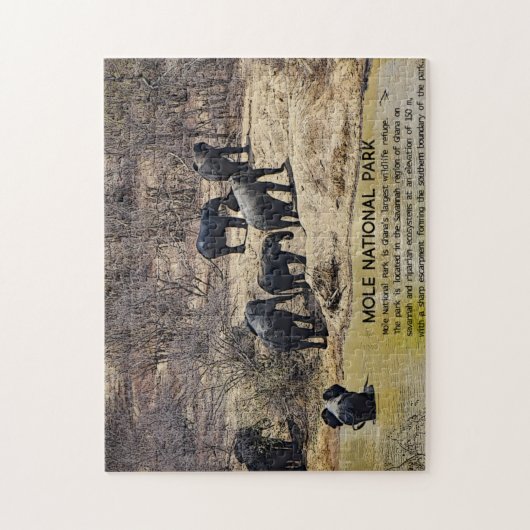 African Elephant Jigsaw puzzle Legpuzzel (Verticaal)