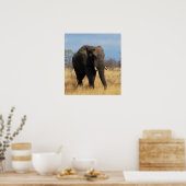 African Elephant Poster Print (Keuken)