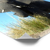 African Elephant Print (Hoek)